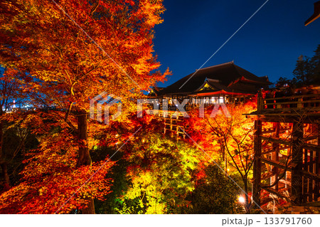 清水寺の舞台と紅葉のライトアップ 133791760