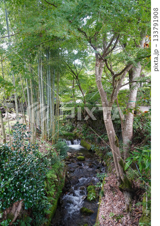 京都大原寂光院への道中の緑豊かな風景 133791908