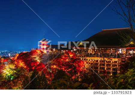 清水寺の紅葉ライトアップ 133791923