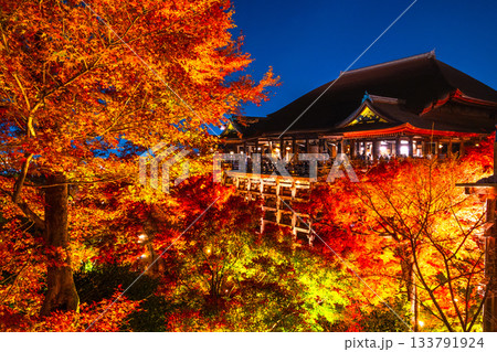 清水寺の舞台と紅葉のライトアップ 清水寺の舞台と紅葉のライトアップ 133791924