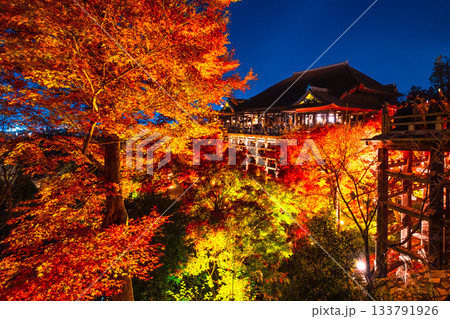 清水寺の舞台と紅葉のライトアップ 133791926