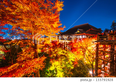 清水寺の舞台と紅葉のライトアップ 133791928