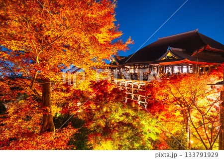 清水寺の舞台と紅葉のライトアップ 清水寺の舞台と紅葉のライトアップ 133791929