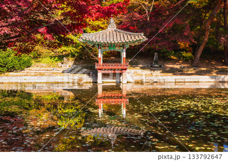 ソウル　秋の昌徳宮　後苑（シークレット・ガーデン） 133792647