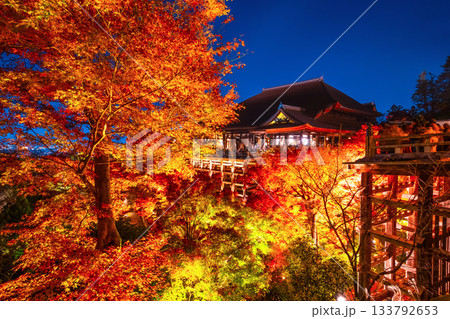 清水寺の舞台と紅葉のライトアップ 133792653