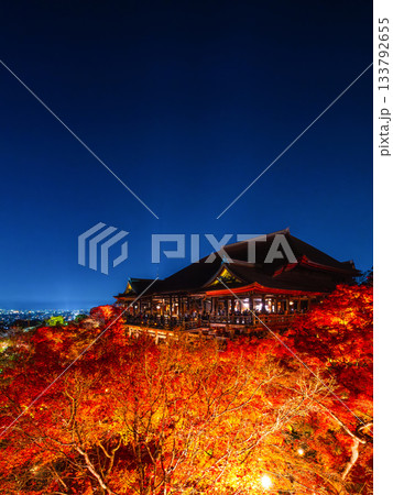 清水寺の舞台と紅葉のライトアップ 133792655