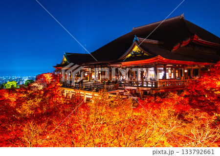 清水寺の舞台と紅葉のライトアップ 133792661