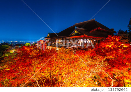 清水寺の舞台と紅葉のライトアップ 133792662