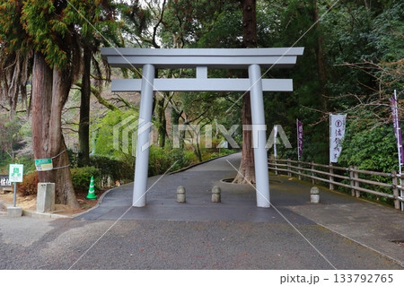 佐伯城登城口の鳥居(大分県佐伯市) 佐伯城登城口の鳥居(大分県佐伯市) 133792765