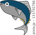 シンプルな活きのいい魚のイラスト 133792786