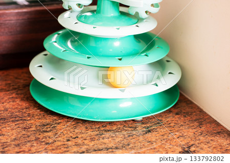 Green plastic cat toy stacked tiers ball trapped in lowest track on scratched wooden table corner Green plastic cat toy stacked tiers ball trapped in lowest track on scratched wooden table corner 133792802