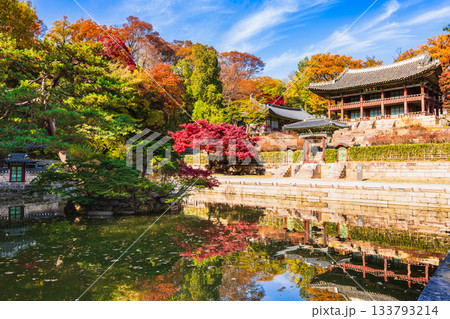 ソウル 秋の昌徳宮 後苑(シークレット・ガーデン) ソウル 秋の昌徳宮 後苑(シークレット・ガーデン) 133793214