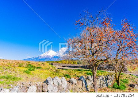 【静岡県】棚田の残り柿と富士山 133793254
