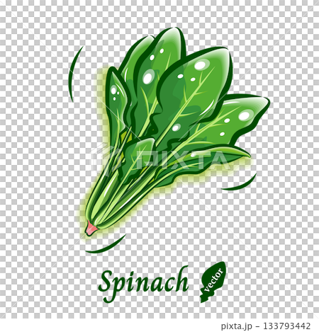 Spinach pop vector material | Fresh and cute vegetable illustrations Spinach pop vector material | Fresh and cute vegetable illustrations 133793442