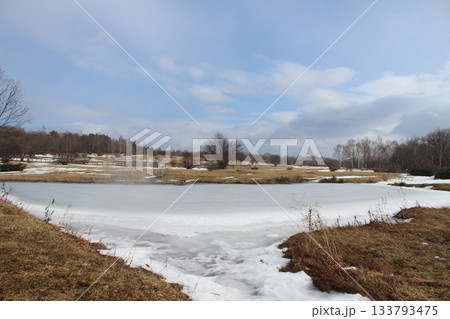 Wide angle winter landscape featuring a large frozen pond surrounded by dry grass and a distant forest line under a blue sky with clouds 133793475