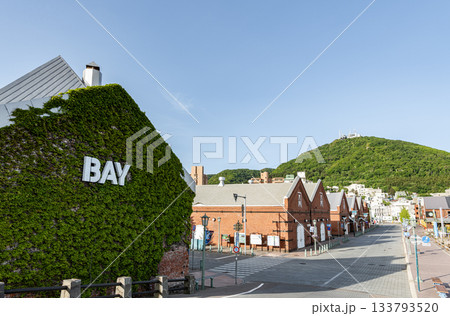 北海道函館市　人気の観光名所　金森赤レンガ倉庫と函館山 133793520