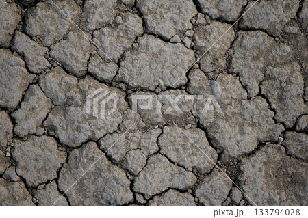 Surface features deep cracks due to lack of moisture. Surface features deep cracks due to lack of moisture. 133794028