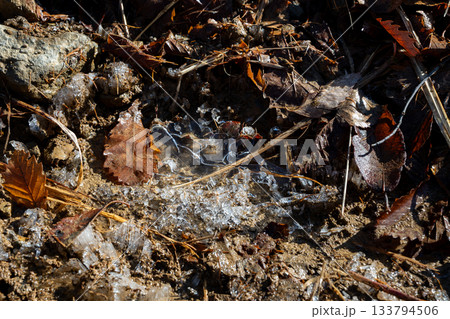 霜の降りた朝の風景　氷点下 133794506