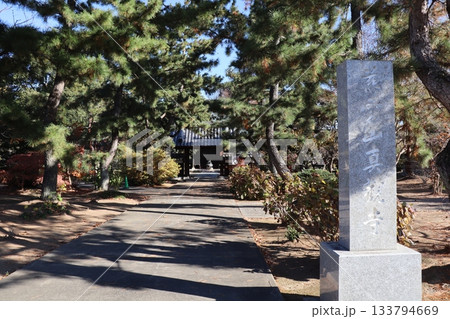 埼玉県行田市の小見真観寺 埼玉県行田市の小見真観寺 133794669