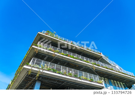 【東京都】爽やかな青空が広がる駒沢パーククォーター 133794726