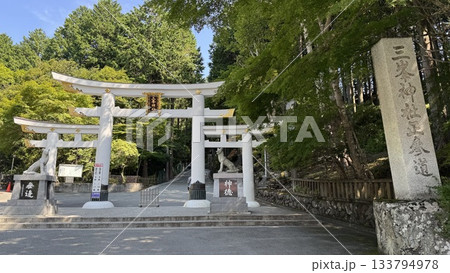 鳥居のある風景 133794978