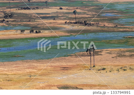 Aerial view of the Okavango Delta 133794991