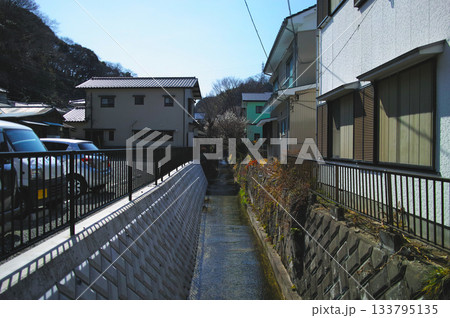 住宅街を流れる小川と春の風景 | 横須賀市 住宅街を流れる小川と春の風景 | 横須賀市 133795135