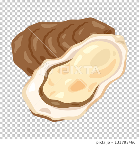 牡蠣殼的插圖 133795466