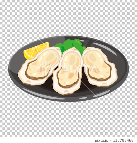 皿に盛られた殻付き牡蠣のイラスト 133795469