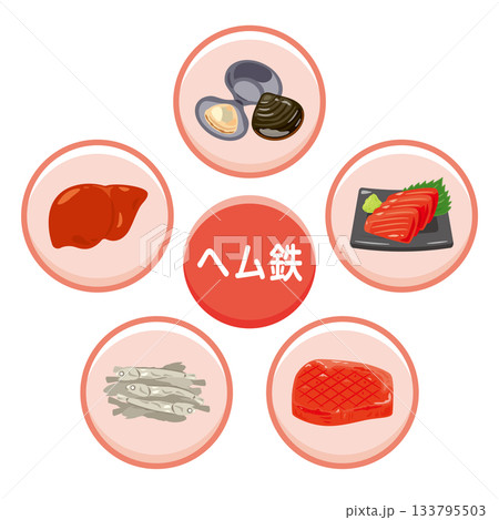 ヘム鉄を多く含む食品のイラストセット　日本語 133795503