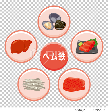 ヘム鉄を多く含む食品のイラストセット　日本語 133795503