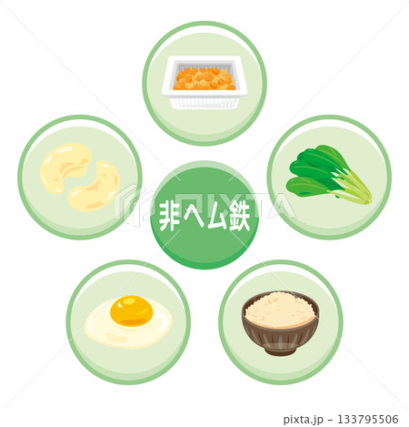 非ヘム鉄を多く含む食品のイラストセット 日本語 非ヘム鉄を多く含む食品のイラストセット 日本語 133795506