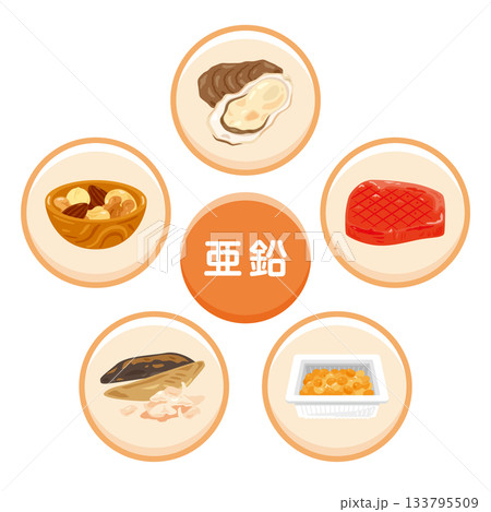 亜鉛を多く含む食品のイラストセット　日本語 133795509