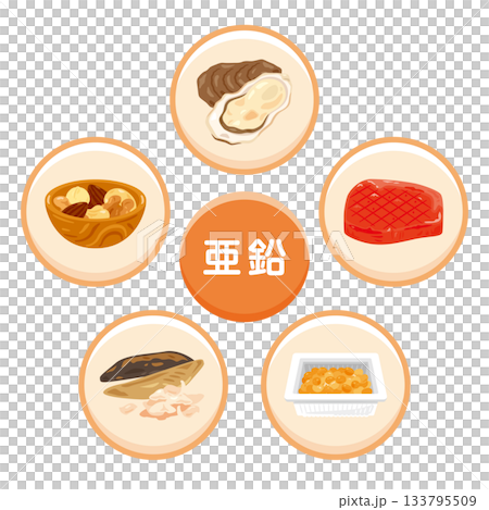 Illustration set of foods rich in zinc (Japanese) 133795509