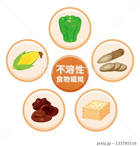 不溶性食物繊維を多く含む食品のイラストセット 日本語 不溶性食物繊維を多く含む食品のイラストセット 日本語 133795516