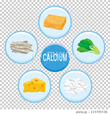 カルシウムを多く含む食品のイラストセット　英語 133795536