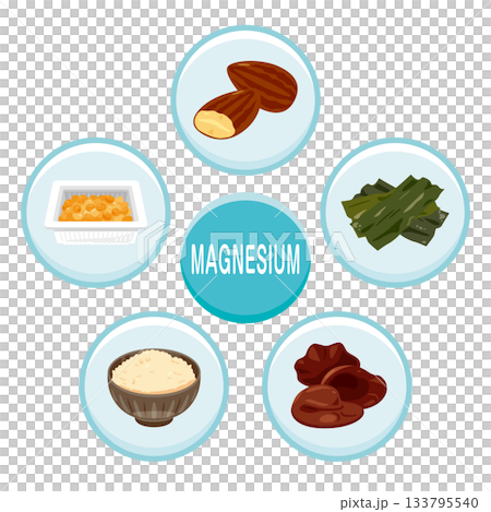 富含鎂的食物插圖集（英文） 133795540