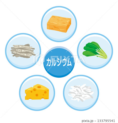 カルシウムを多く含む食品のイラストセット　日本語 133795541