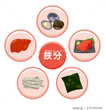鉄分を多く含む食品のイラストセット　日本語 133795542