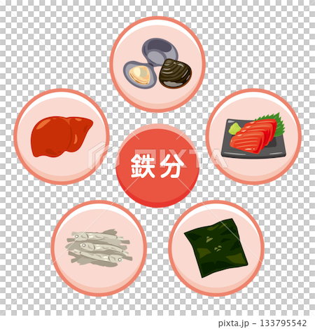 鉄分を多く含む食品のイラストセット　日本語 133795542