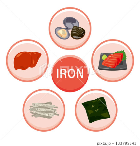 鉄分を多く含む食品のイラストセット 英語 鉄分を多く含む食品のイラストセット 英語 133795543