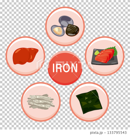 鉄分を多く含む食品のイラストセット 英語 鉄分を多く含む食品のイラストセット 英語 133795543