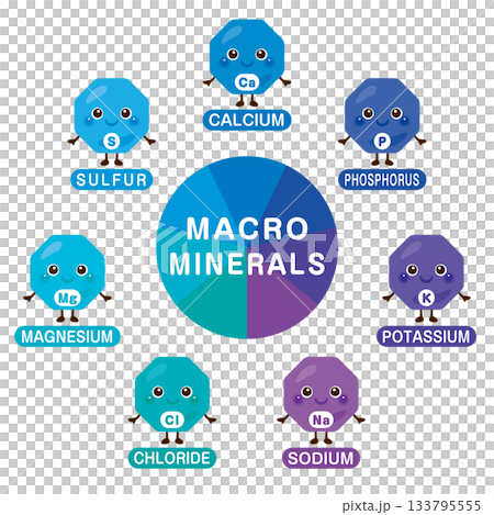 Character illustration set of macrominerals in Japanese Character illustration set of macrominerals in Japanese 133795555