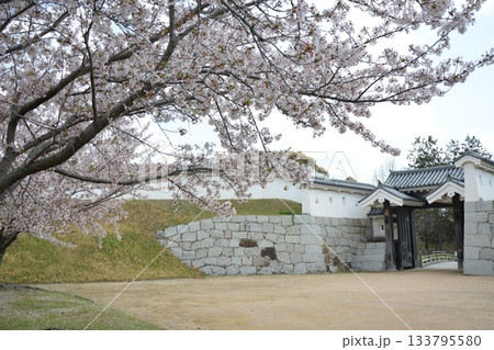 桜と城 桜と城 133795580