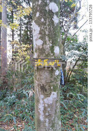 法尻山の山頂（富山県富山市） 133795726