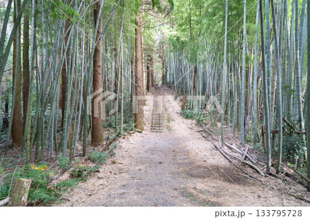 法尻山から城山へ向かう登山道（富山県富山市） 133795728