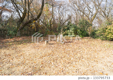 呉羽丘陵にある城山の山頂(富山県富山市) 呉羽丘陵にある城山の山頂(富山県富山市) 133795733