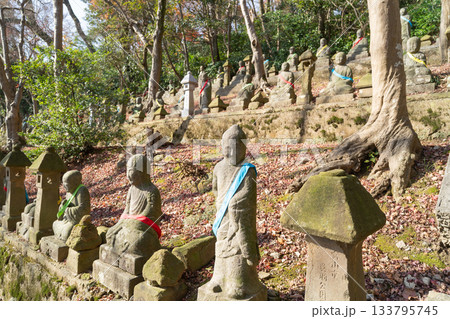 呉羽丘陵の五百羅漢（富山県富山市） 133795745