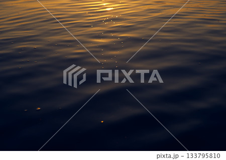 Beautiful scenery at Kwan Phayao Lake in Thailand Beautiful scenery at Kwan Phayao Lake in Thailand 133795810
