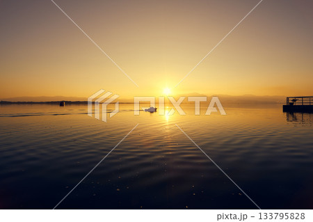 Beautiful scenery at Kwan Phayao Lake in Thailand 133795828